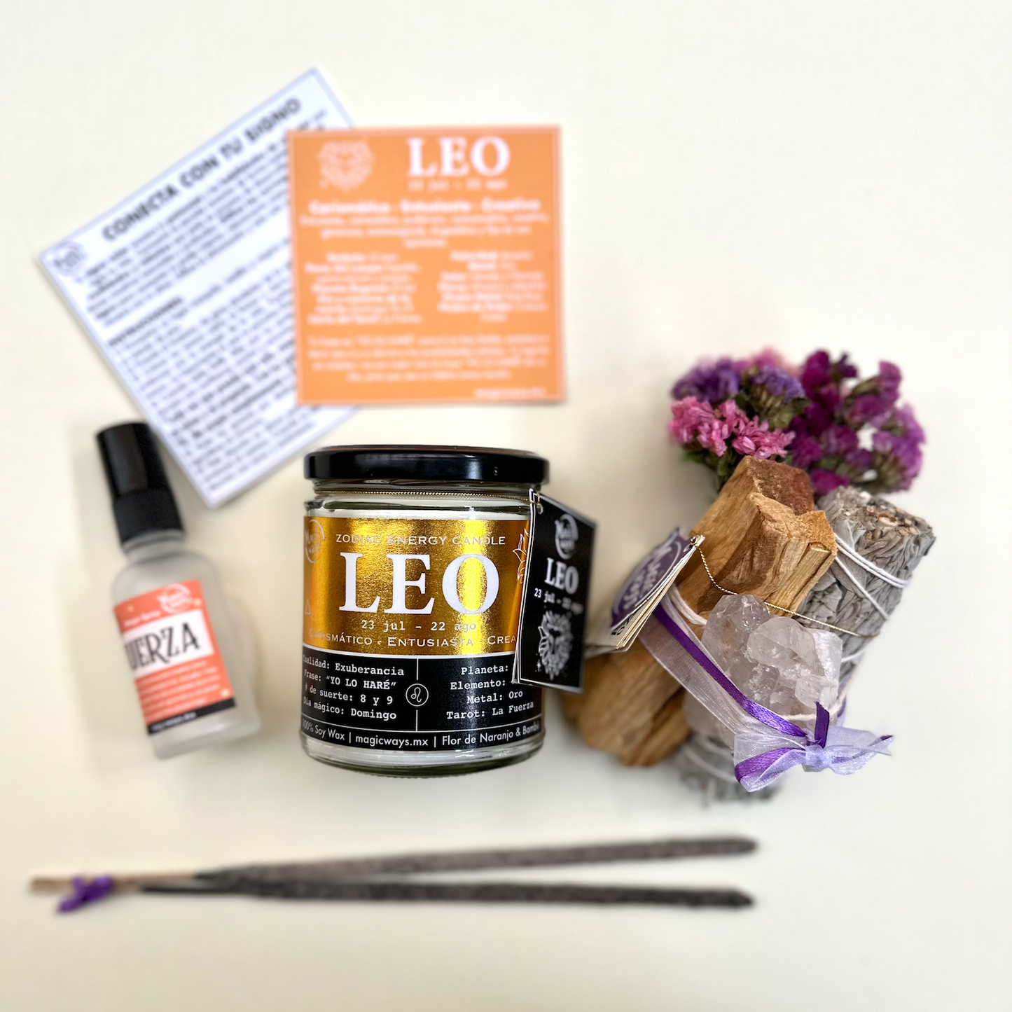 LEO box- Conecta con tu Signo Solar